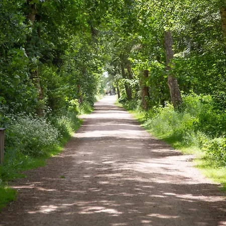 Wohnen Am Suedstrand - 0 5 Wyk auf Föhr