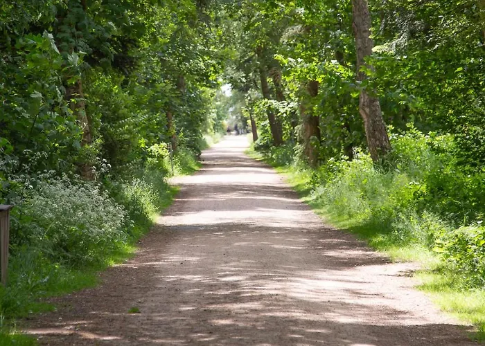 Wohnen Am Suedstrand - 0 5 Wyk auf Föhr